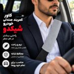 کاور کمربند خودرو طرح پترو شیکدو مدل CK26 بسته 2 عددی - تصویر 8