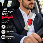کاور کمربند خودرو طرح سفر شیکدو مدل CK27 بسته 2 عددی - تصویر 5